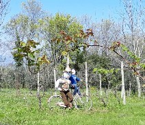 Aprile Mazzano SALO' in MTB