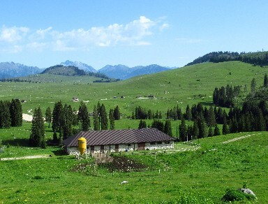 Giugno altopiano di Asiago in MTB 