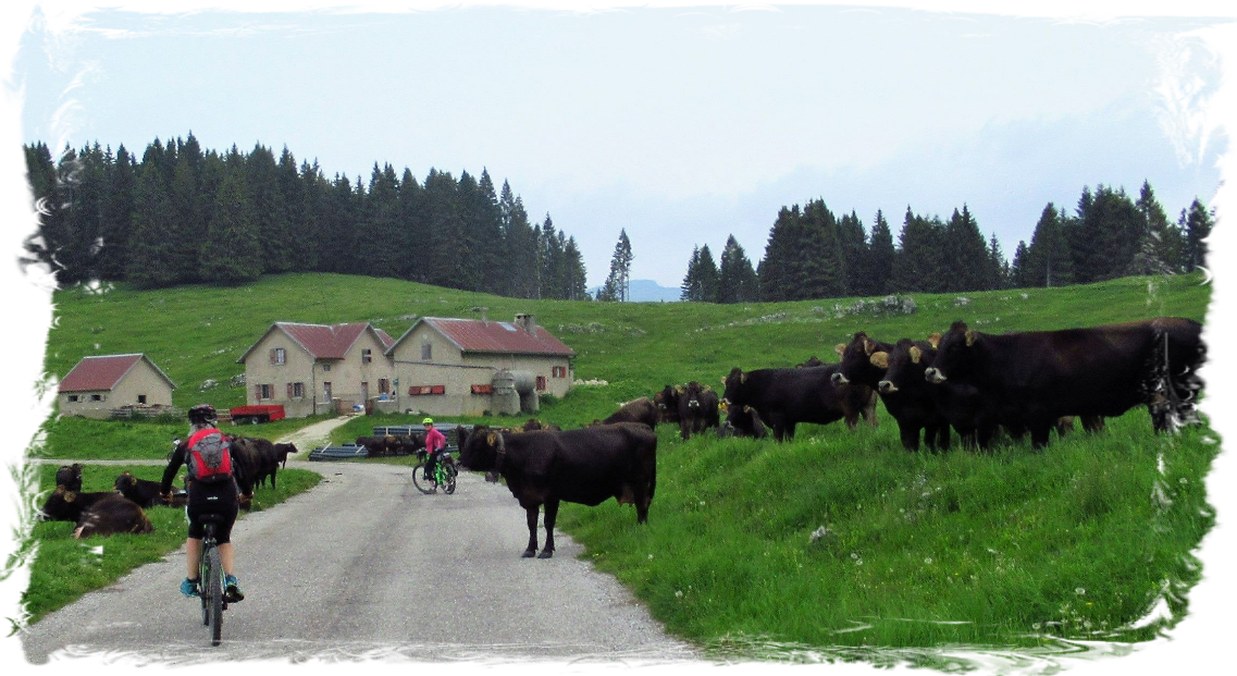 3 giugno si parte per un fantastico giro 3 giugno si parte per un fantastico giro