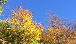 Ottobre Valsassina in MTB