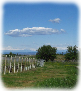 Aprile Alessandria Monferrato e zone limitrofe in MTB