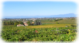 Ottobre Colline Moreniche in MTB