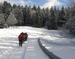 Febbraio Schilpario i Campelli