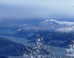 Febbraio Ciaspolata alpe di Mezzo